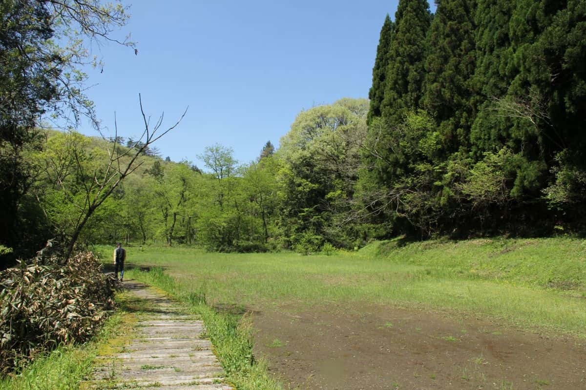 島根県飯南町の観光スポット「赤名湿地性植物群落」の散策路