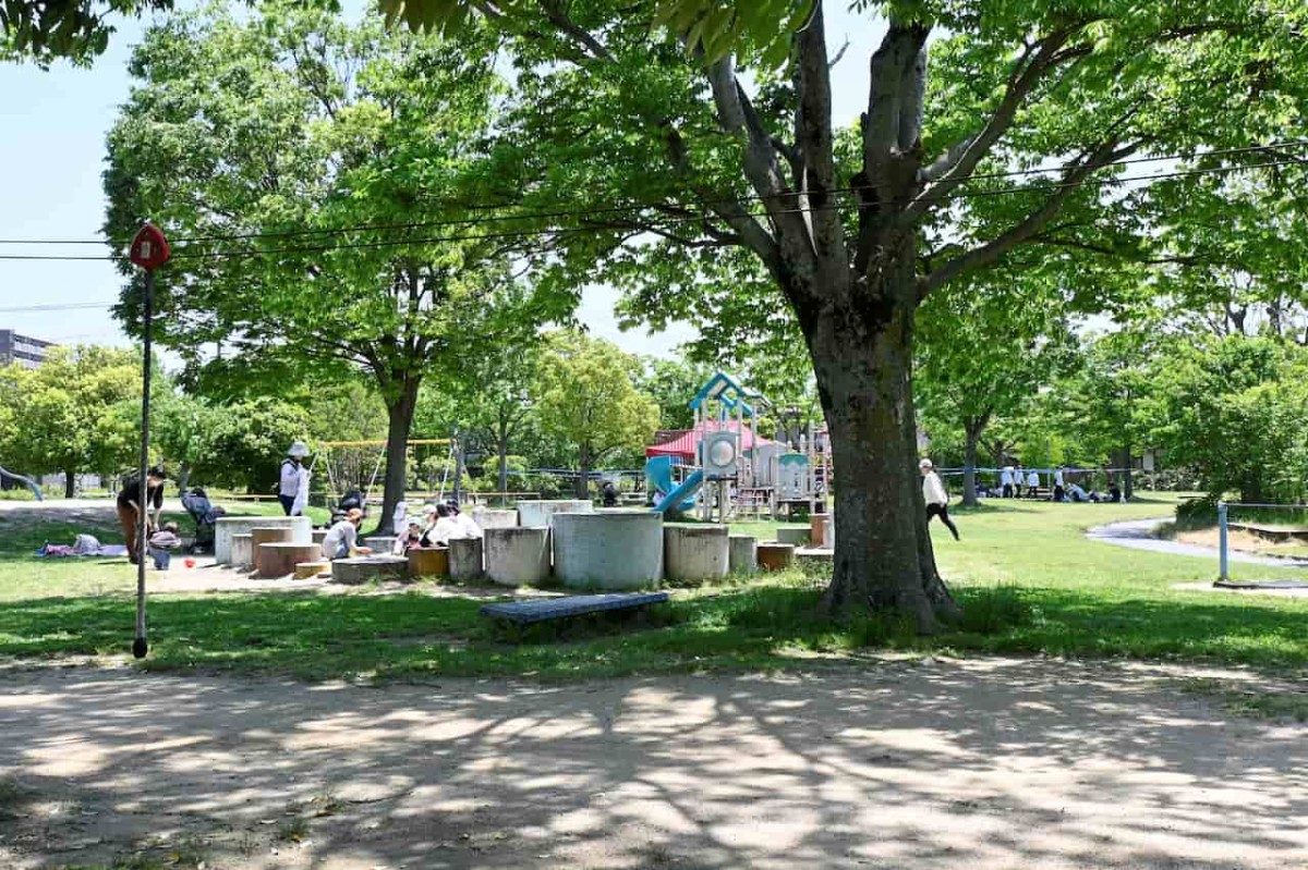 鳥取県鳥取市にある『美保公園』の遊具