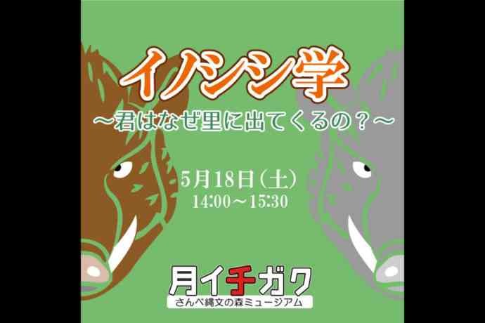 島根県大田市のイベント「【要予約】月イチガク「イノシシ学～君はなぜ里に出てくるの？～」」のチラシ