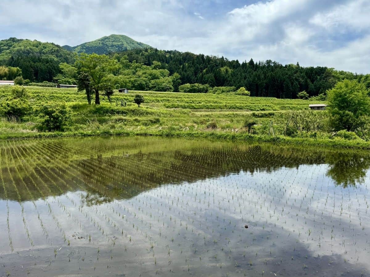 田んぼの水面に映る空の景色