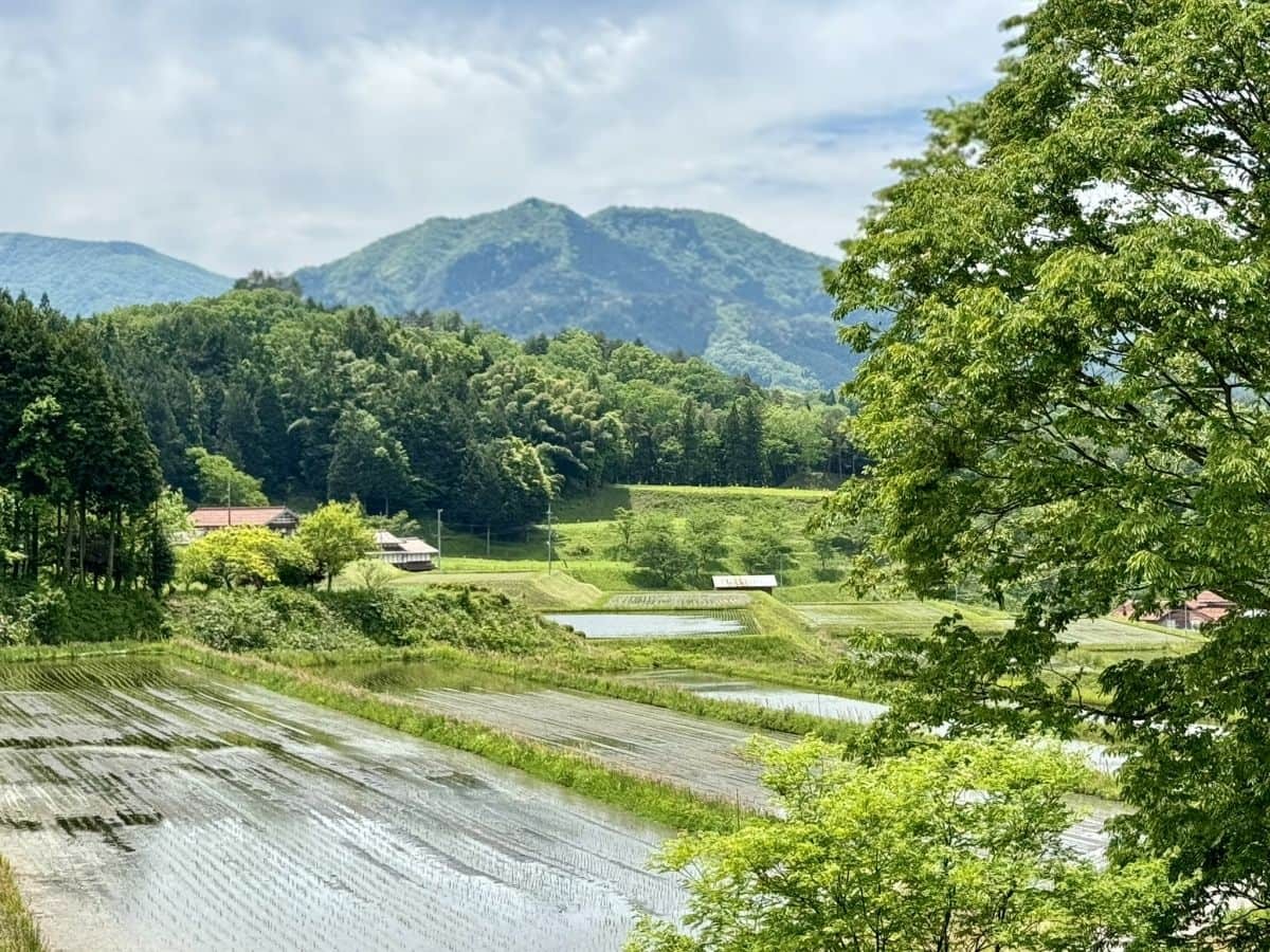 島根県奥出雲町の絶景スポット『大原新田』の景観