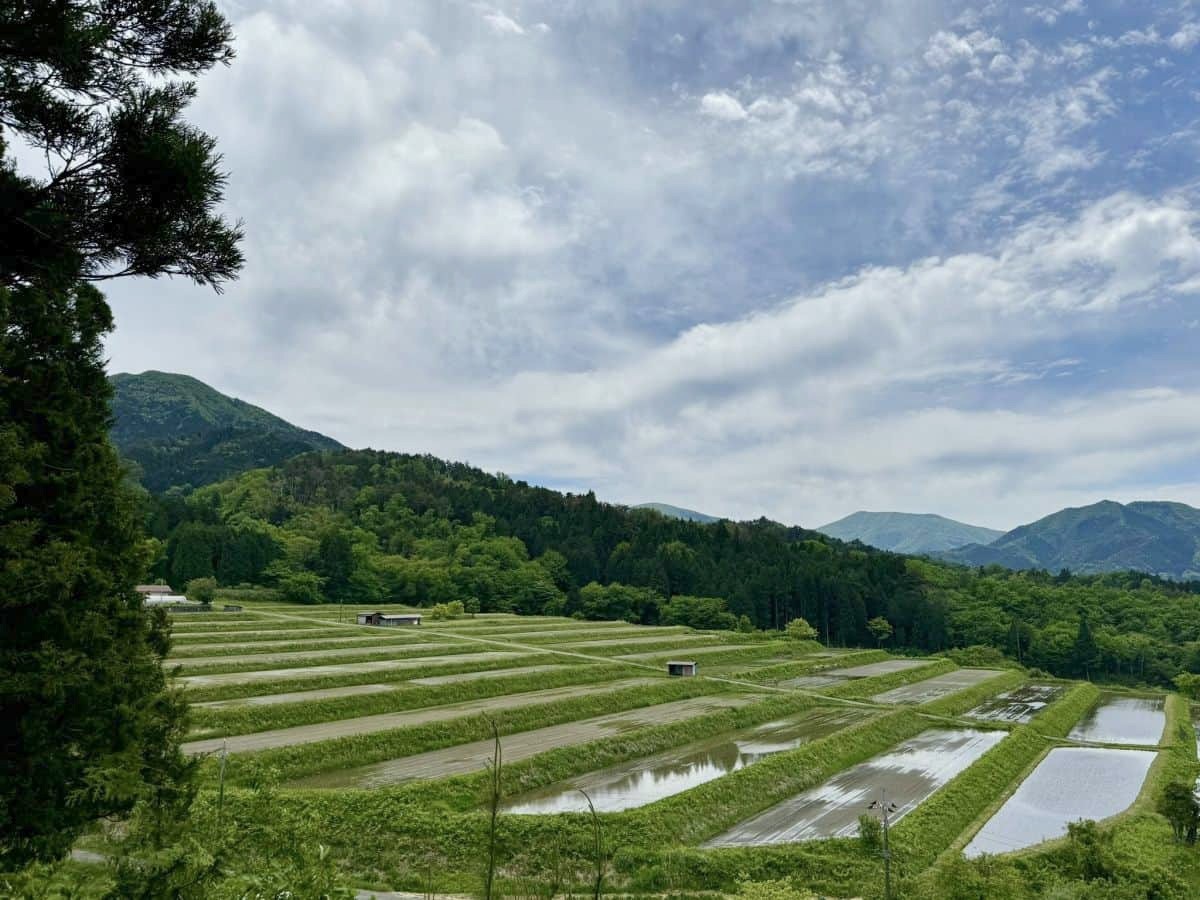 島根県奥出雲町の絶景スポット『大原新田』の景観