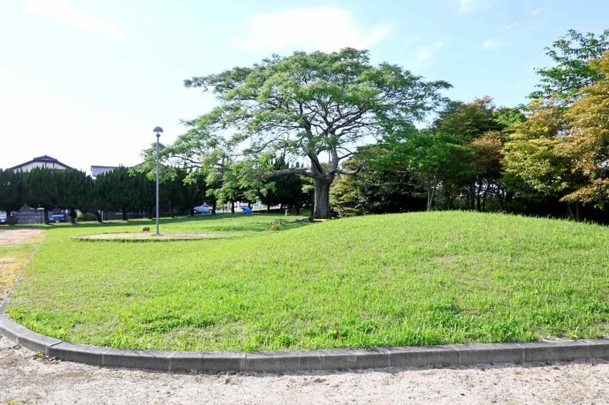 島根県益田市にある『雪舟橋公園』の様子