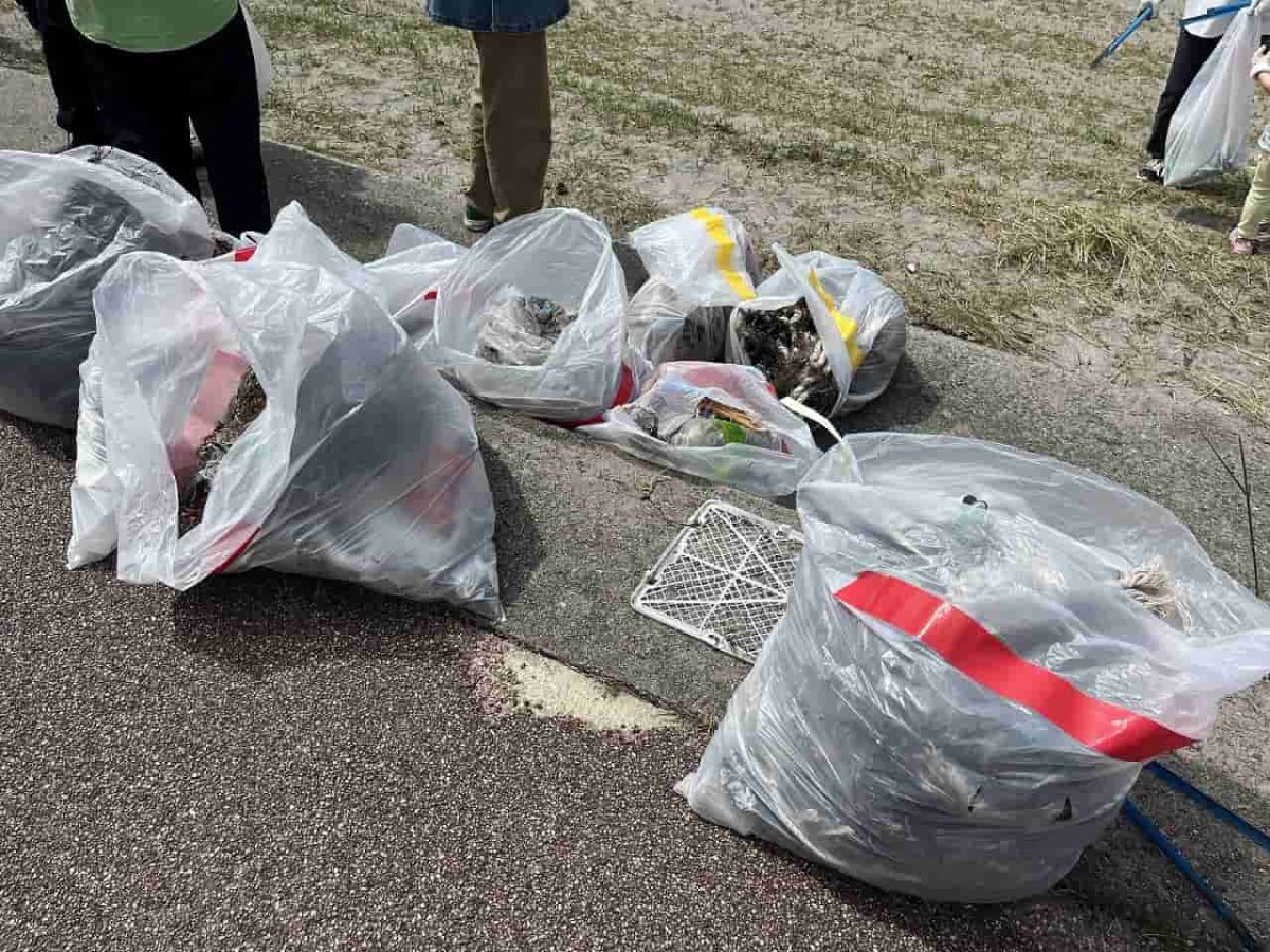 島根県隠岐郡隠岐の島町「塩の浜」でのビーチクリーンのゴミ