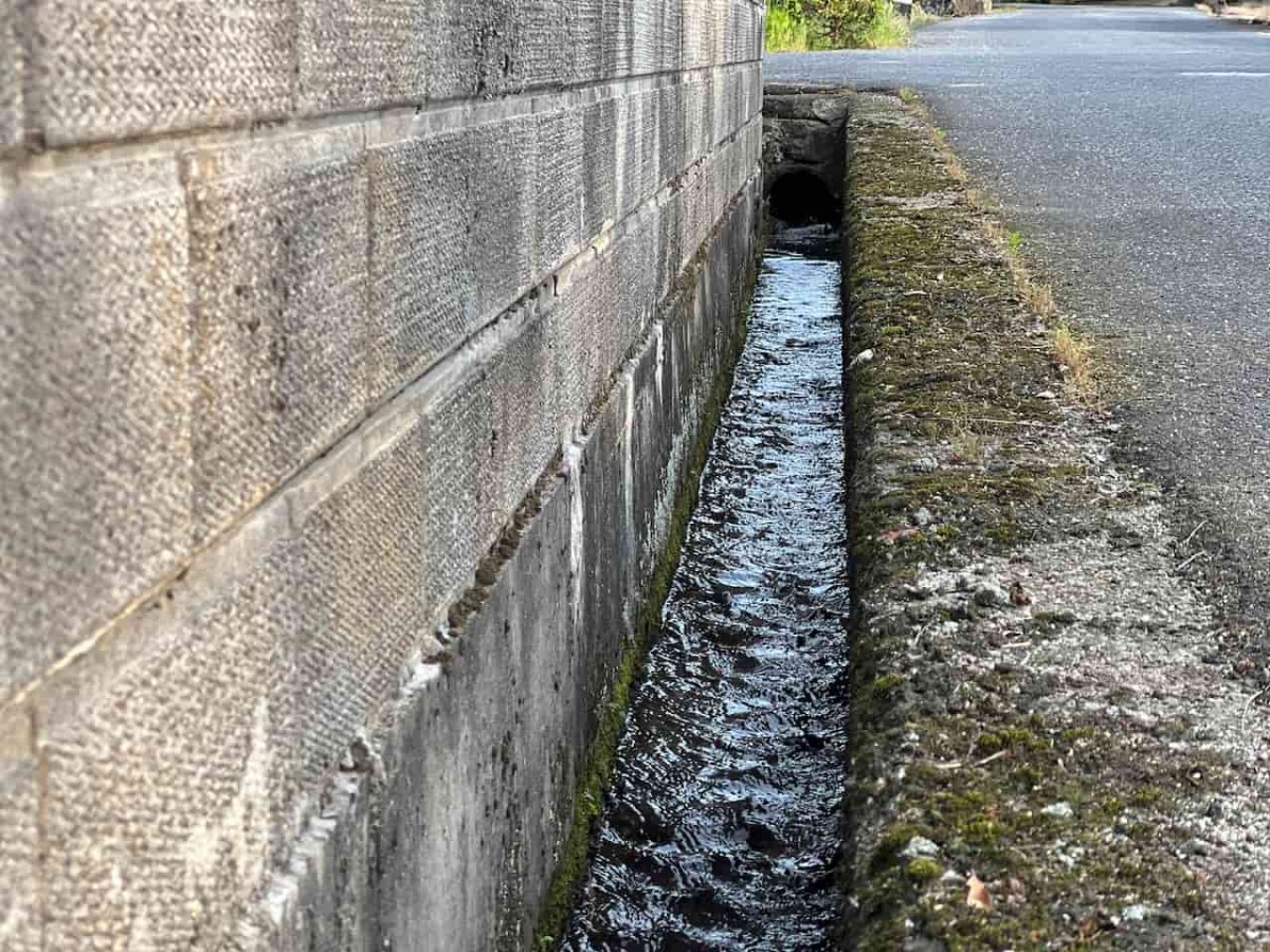 鳥取県南部町の「金田川ほたるの里」周辺に流れる水