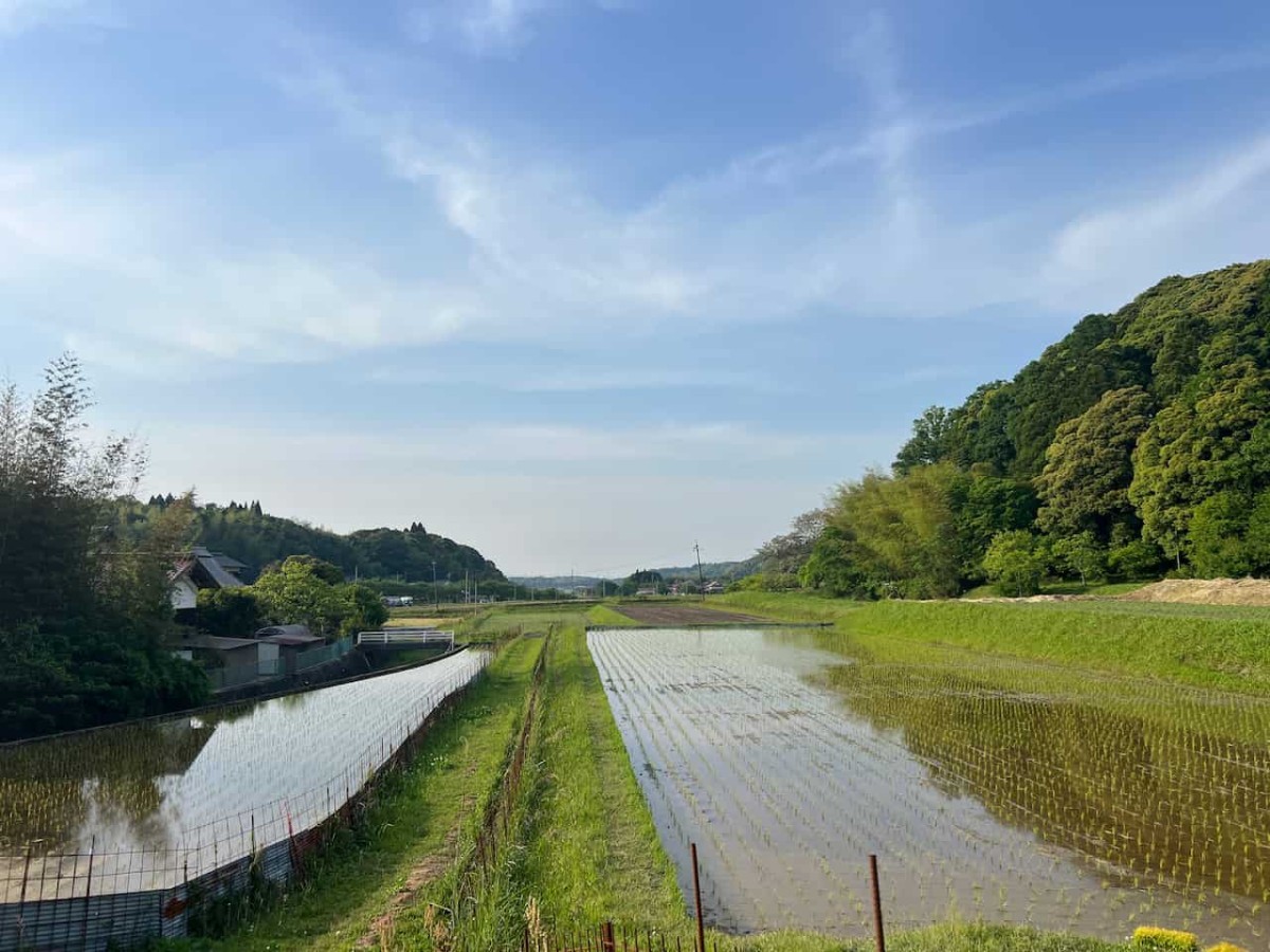 鳥取県南部町の「金田川ほたるの里」のホタル観測地周辺の様子