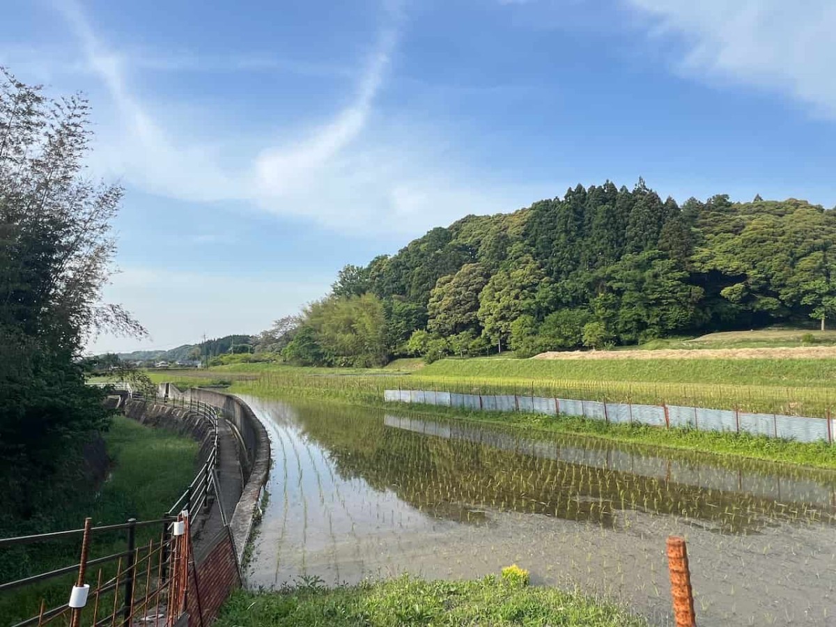 鳥取県南部町の「金田川ほたるの里」のホタル観測地周辺の様子