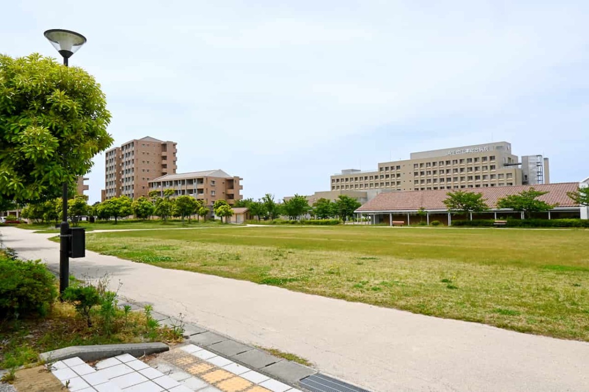 島根県江津市にある『江津市シビックセンター公園』の芝生広場