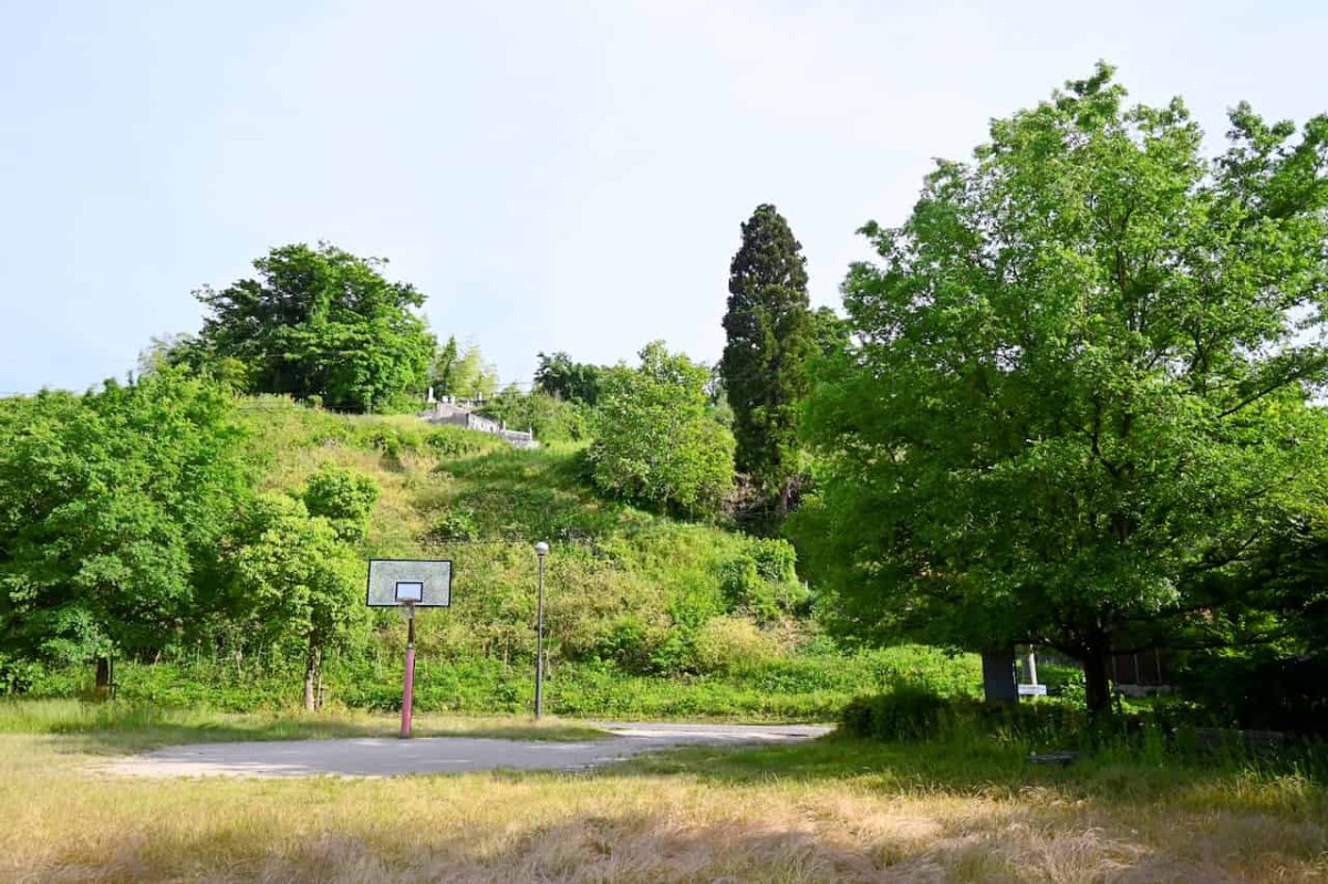 島根県雲南市にある『秋葉なかよし広場』にあるバスケットゴール