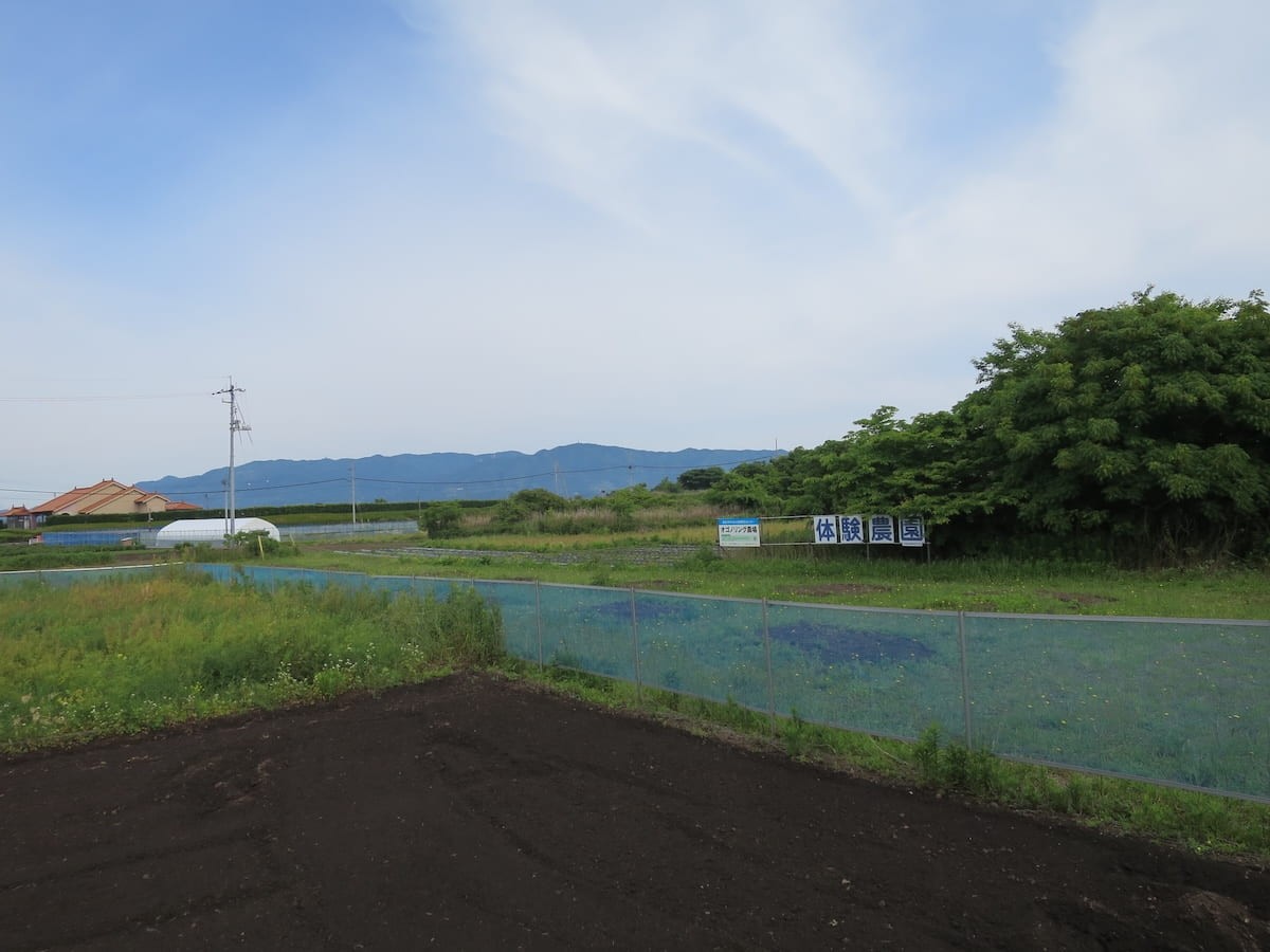 島根県松江市の大根島で開催された「海藻の利活用でつくる芋焼酎プロジェクト」の様子