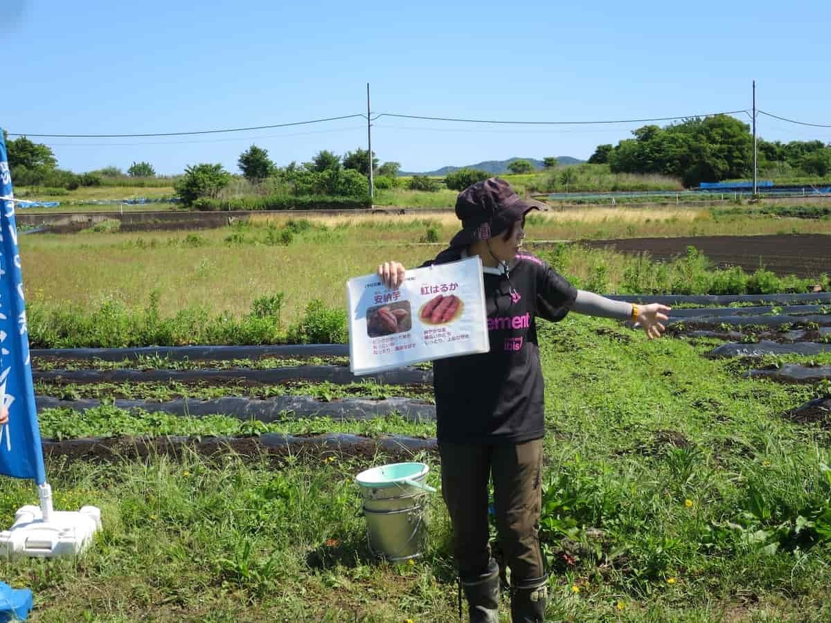 島根県松江市の大根島で開催された「海藻の利活用でつくる芋焼酎プロジェクト」の様子