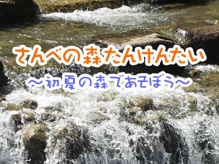 島根県大田市のイベント「【要予約】さんべの森たんけんたい　～初夏の森であそぼう～」のチラシ