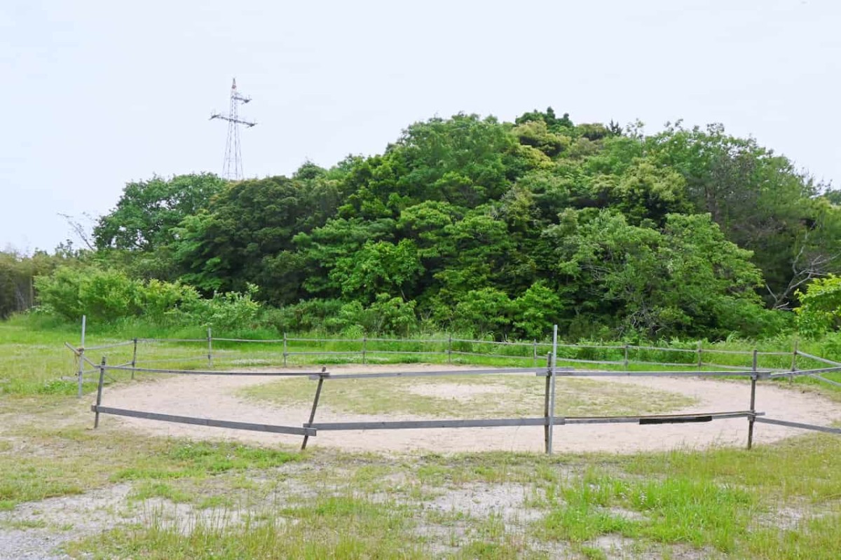 島根県江津市にある『うま牧場レライ』の体験コース