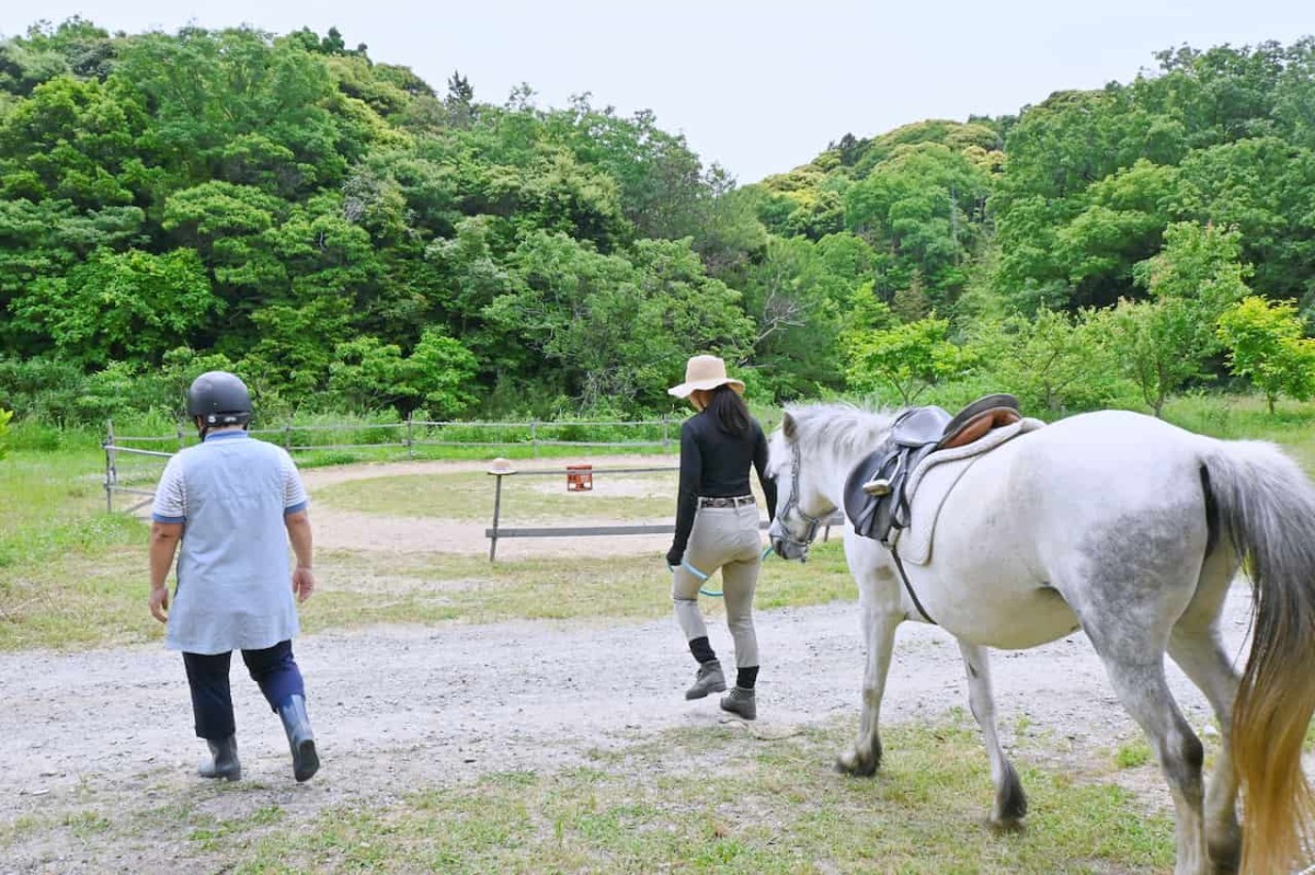 島根県江津市にある『うま牧場レライ』のふれあい体験の様子島根県江津市にある『うま牧場レライ』のふれあい体験の様子