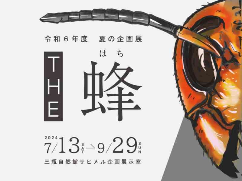 島根県大田市のイベント「夏の企画展「THE 蜂」」のチラシ