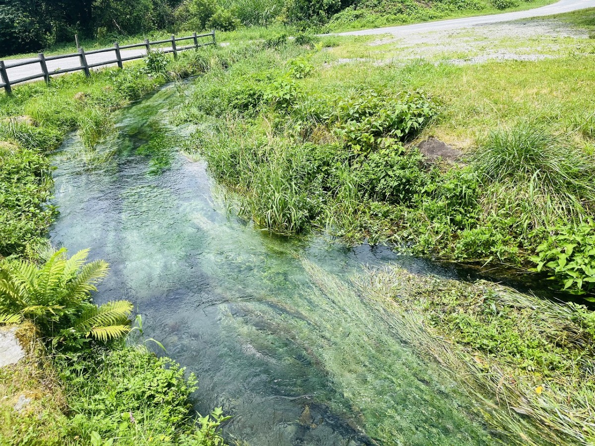 鳥取県伯耆町『地蔵滝の泉（じぞうたきのいずみ）』の様子