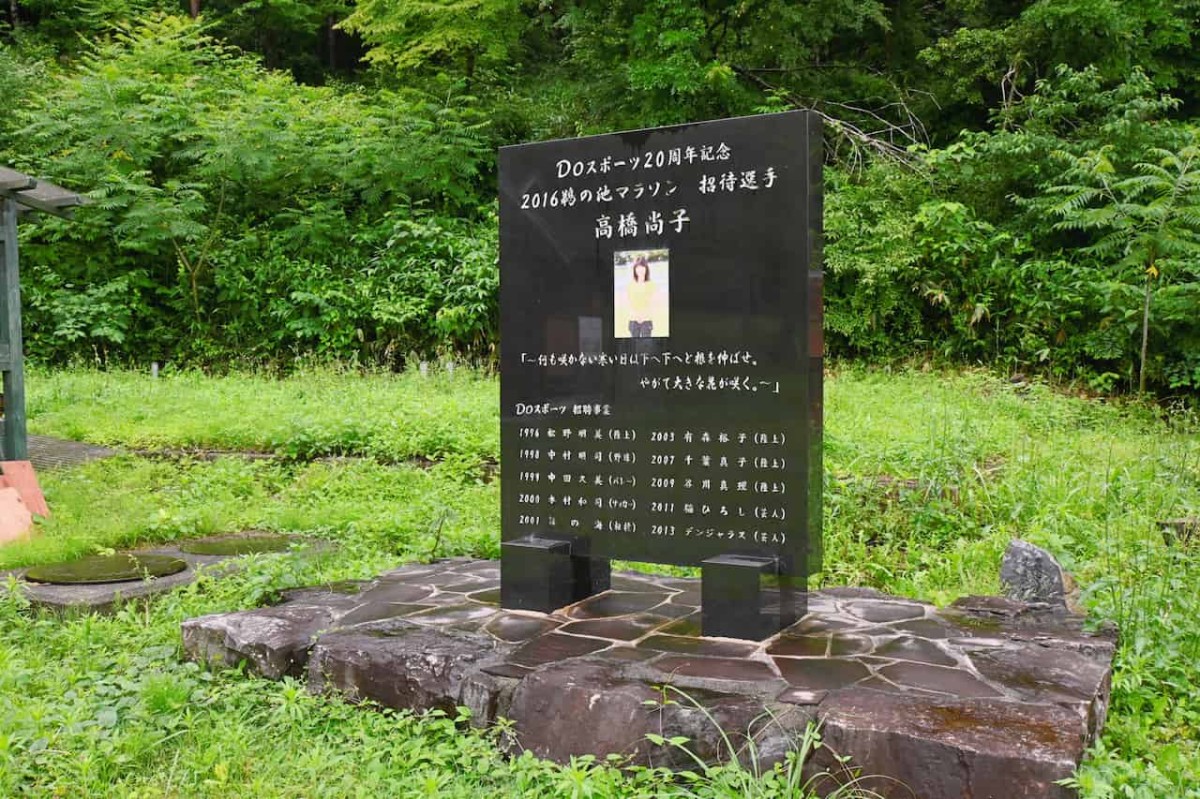 鳥取県日野郡日野町にある『鵜の池公園」の様子