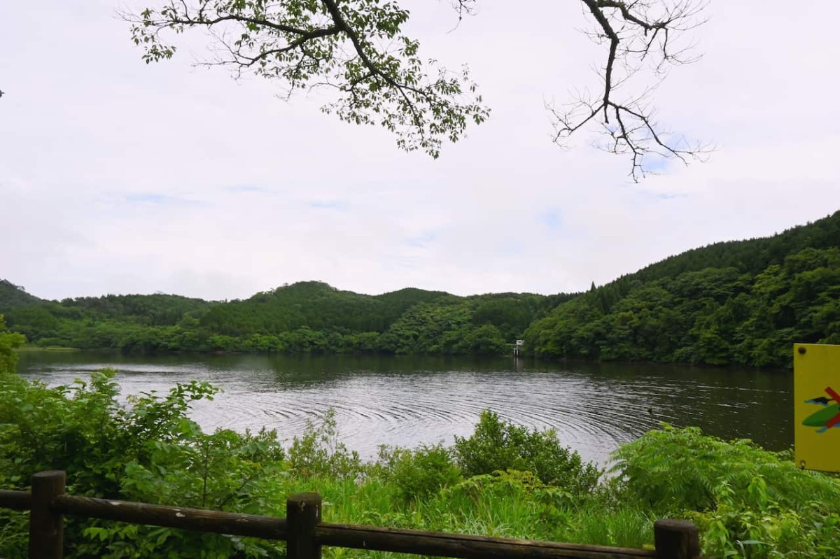 鳥取県日野郡日野町にある『鵜の池公園」の様子