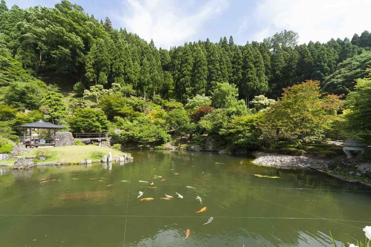 島根県雲南市にある『石照庭園』の様子