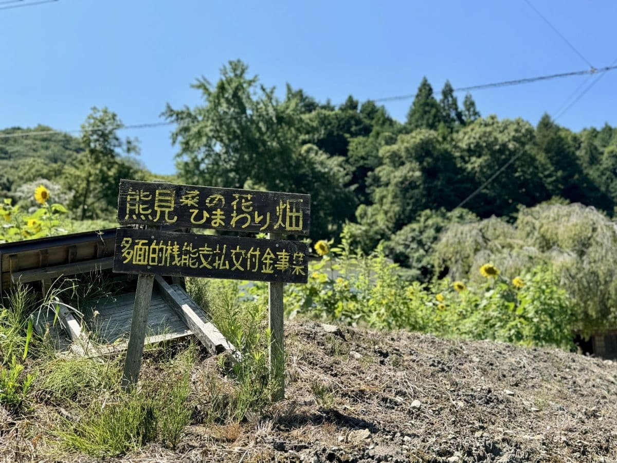 島根県美郷町のひまわり畑『沢谷熊見地域のひまわり』の案内看板