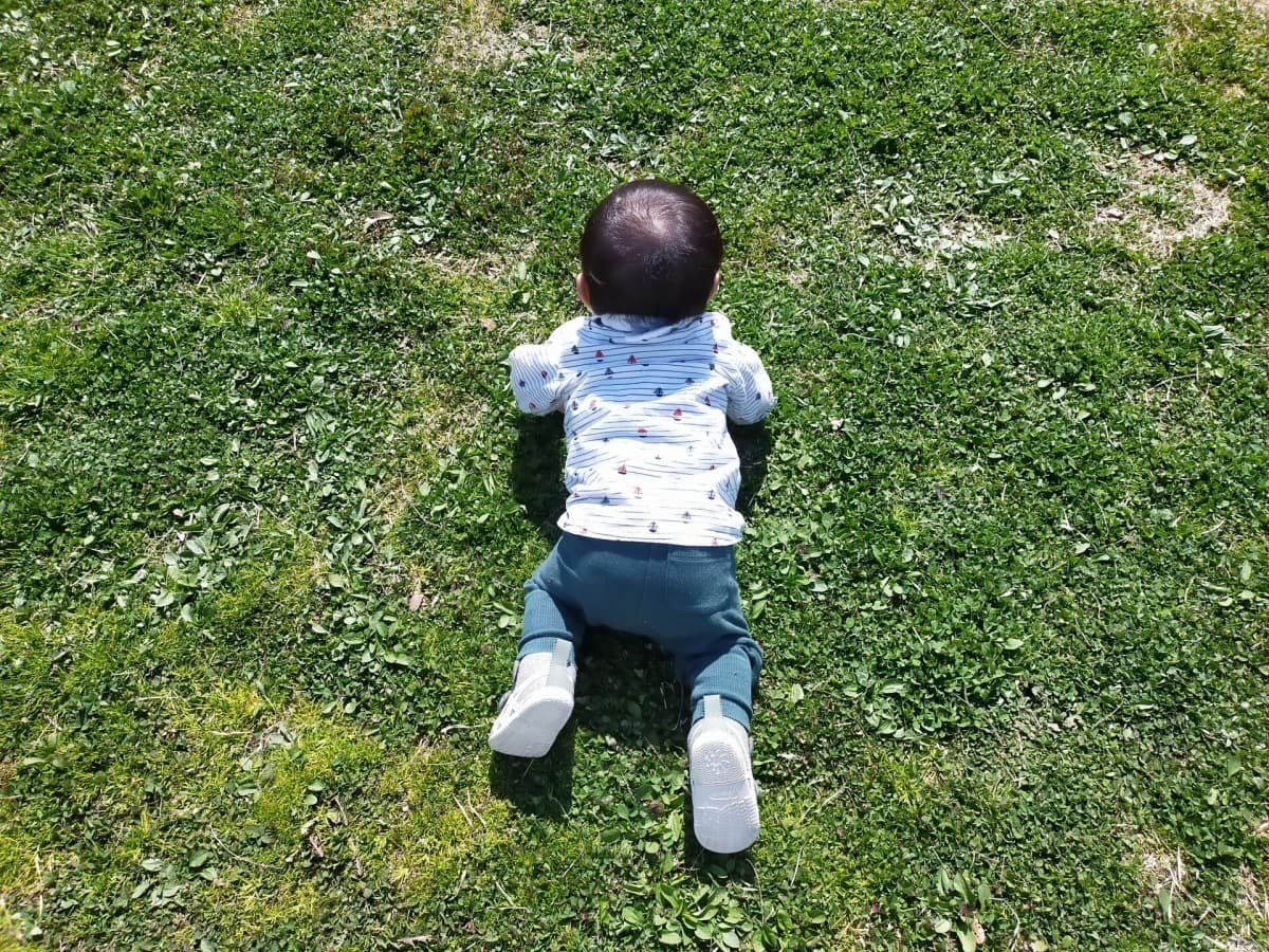 公園でハイハイする赤ちゃん