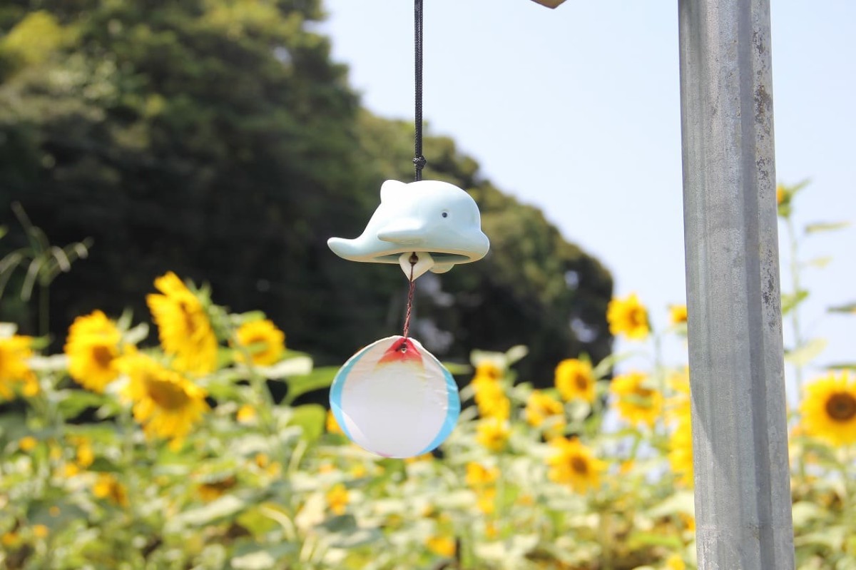 島根県松江市浜佐田町のフラワースポット『よつばひまわり園』の風景