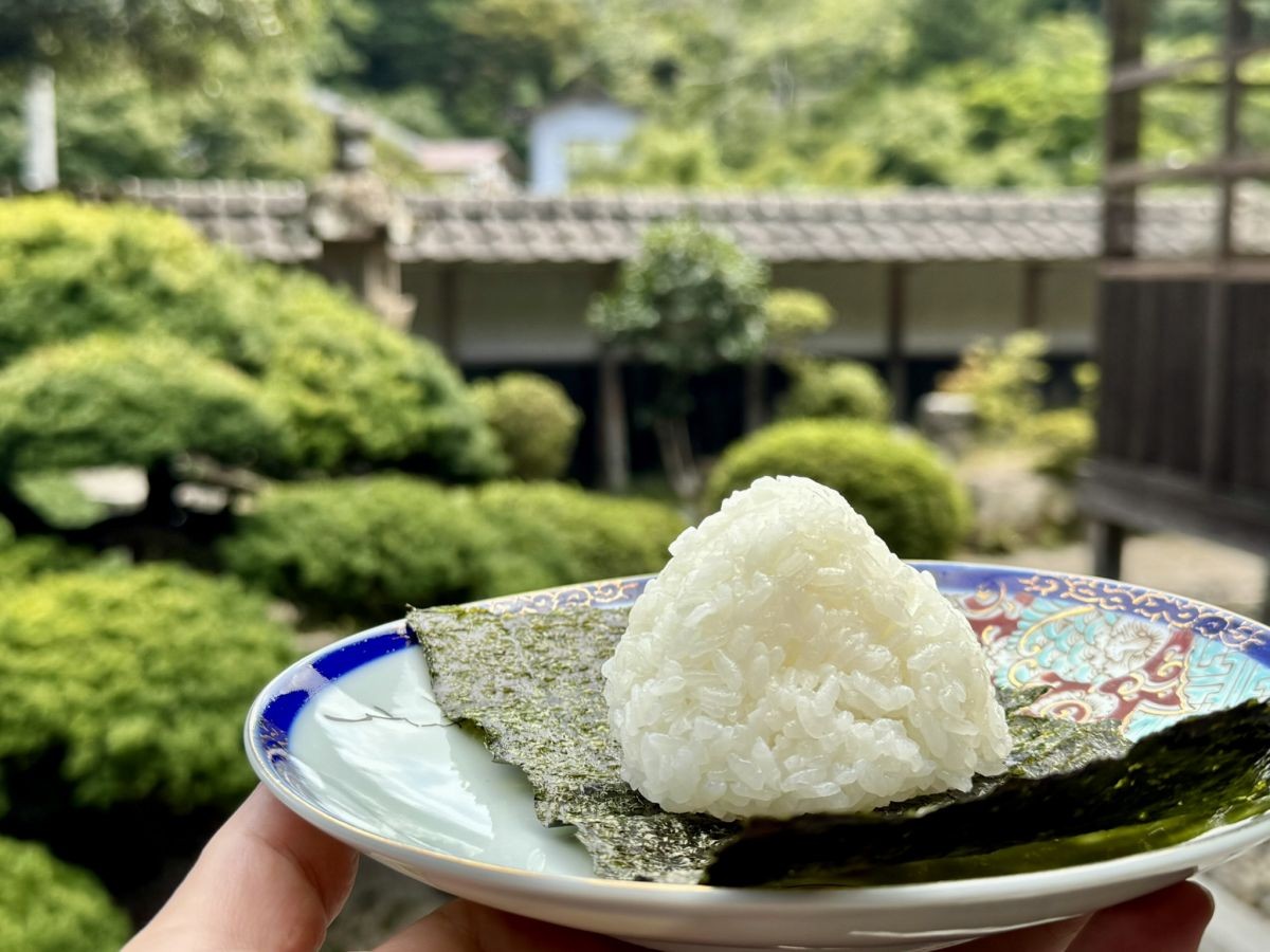 仁多米のおにぎり
