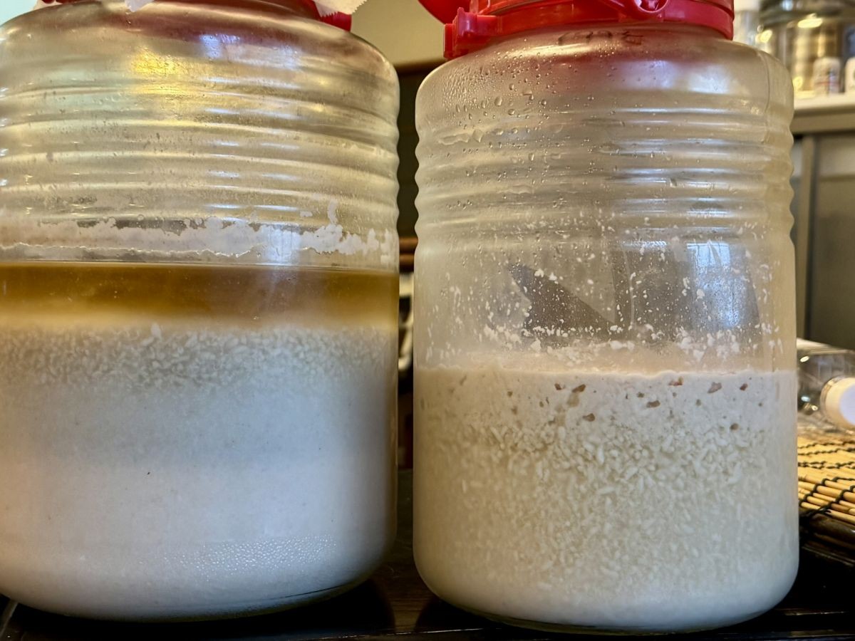 雲南市にある生マッコリ工房「オモナ ヤンジョ」の体験風景