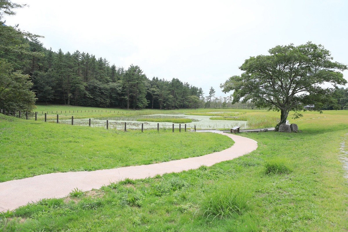 島根県大田市に広がる姫逃池