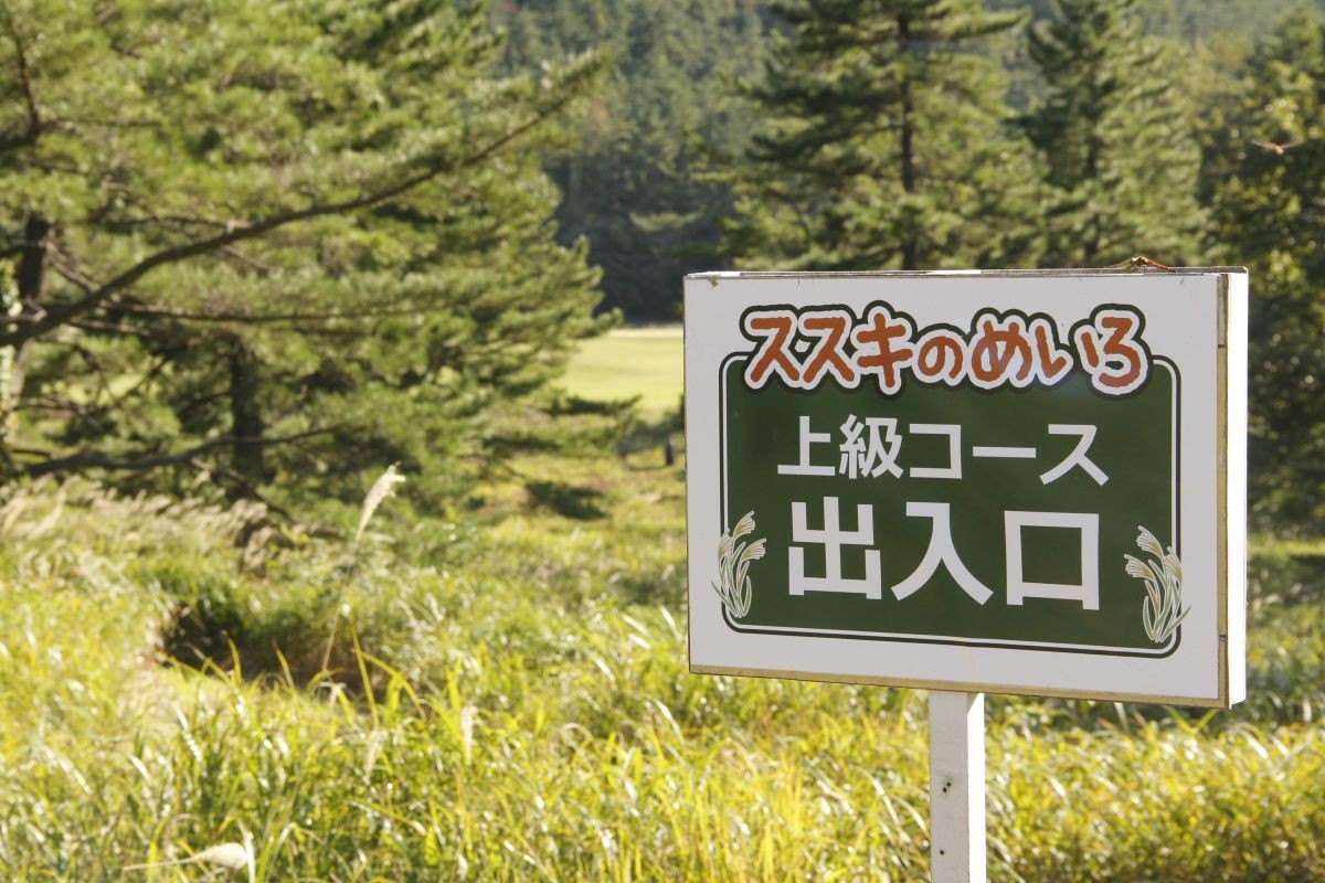 島根県大田市・三瓶山にある「ススキの迷路」の看板