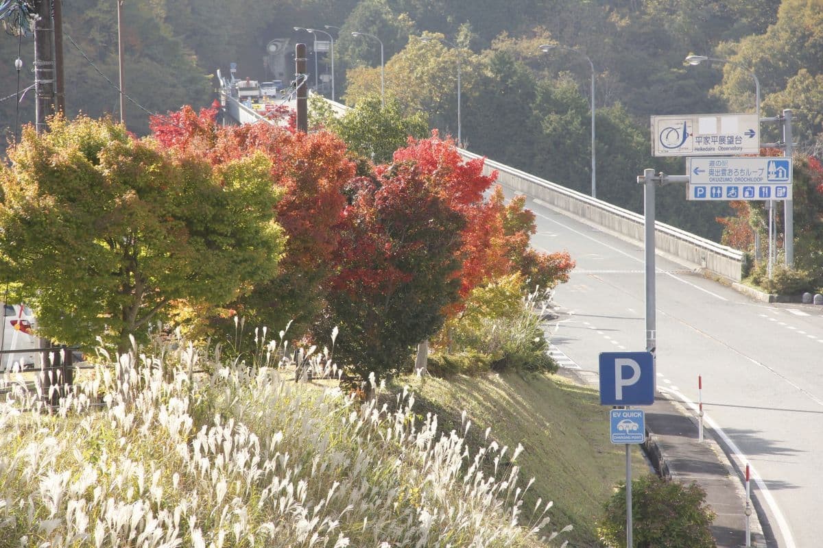 島根県奥出雲町の紅葉の名所『道の駅奥出雲おろちループ』の紅葉の様子