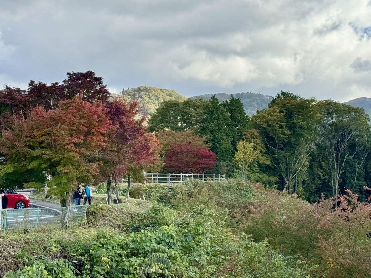 島根県奥出雲町の紅葉の名所『道の駅奥出雲おろちループ』の紅葉の様子