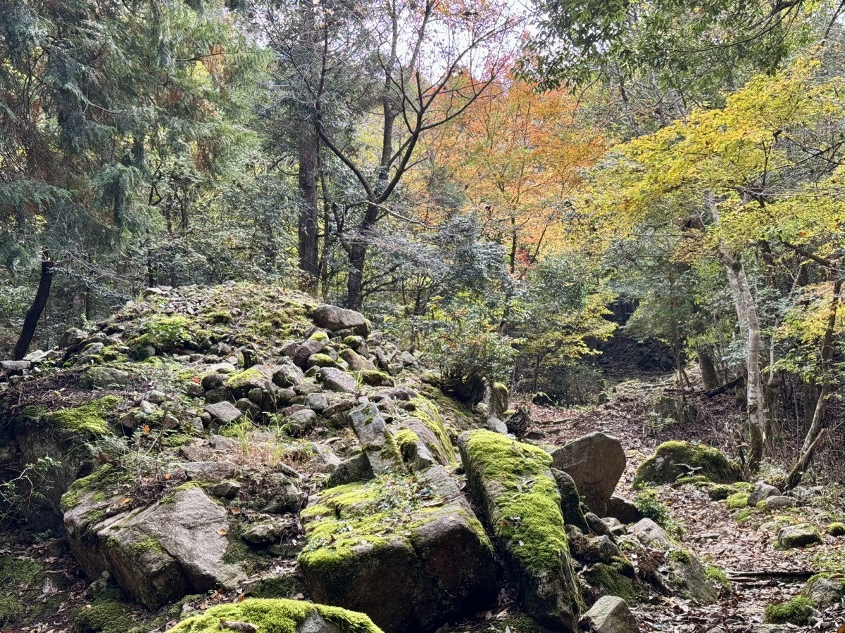 鳥取市佐治町大井にある『熊野神社遺跡』の古墳