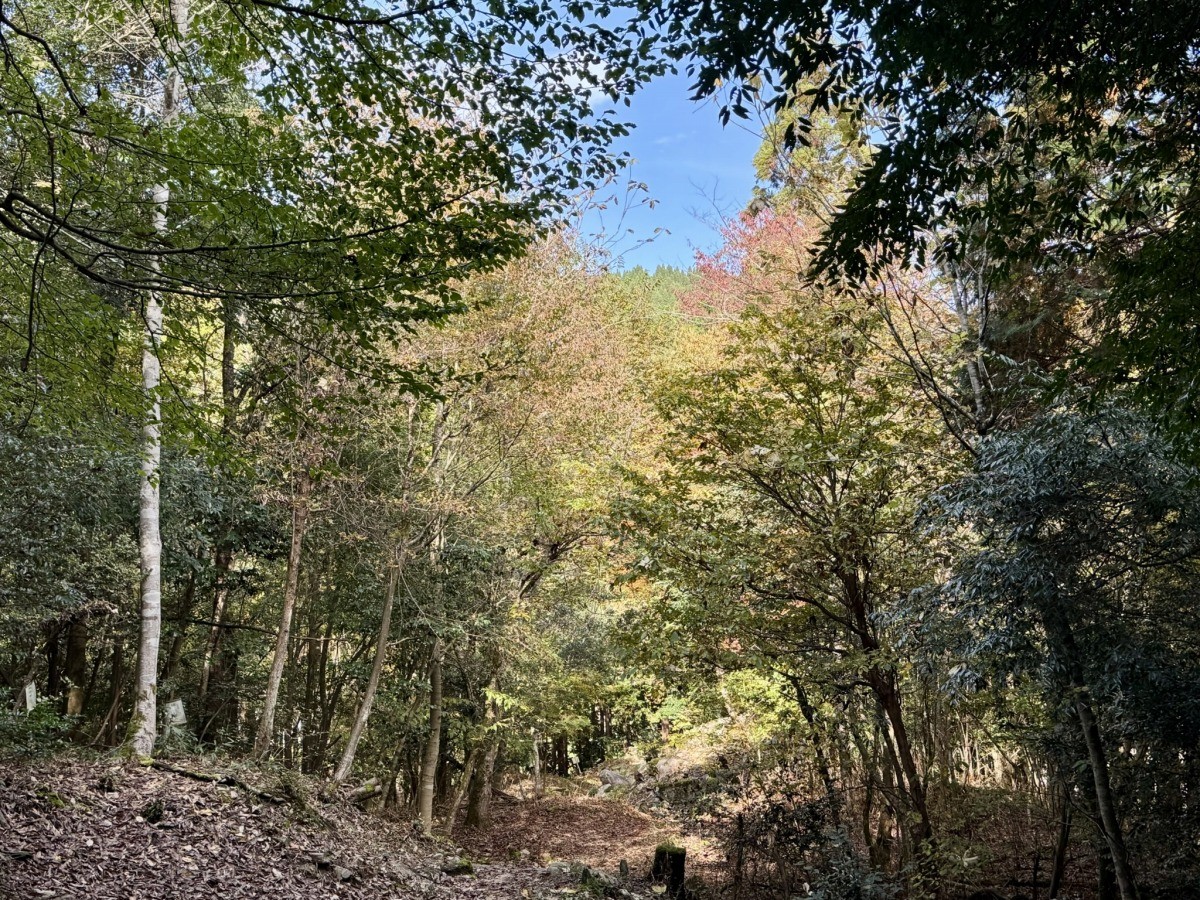 鳥取市佐治町大井にある『熊野神社遺跡』の散策道