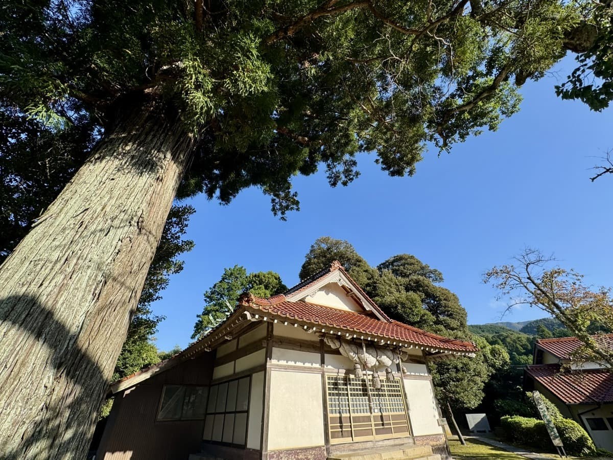 大田市「佐比賣山神社」の境内
