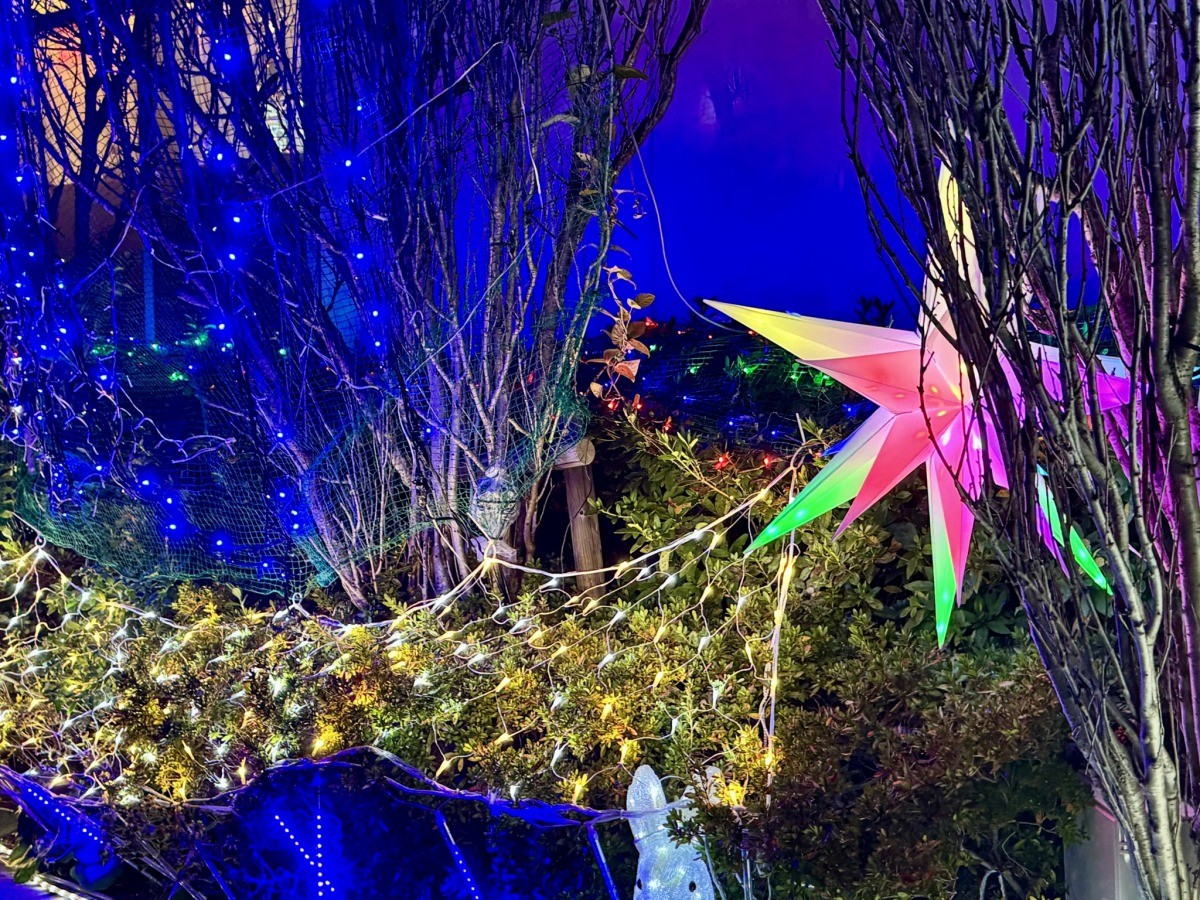 松江市東出雲町のエステック株式会社のイルミネーション