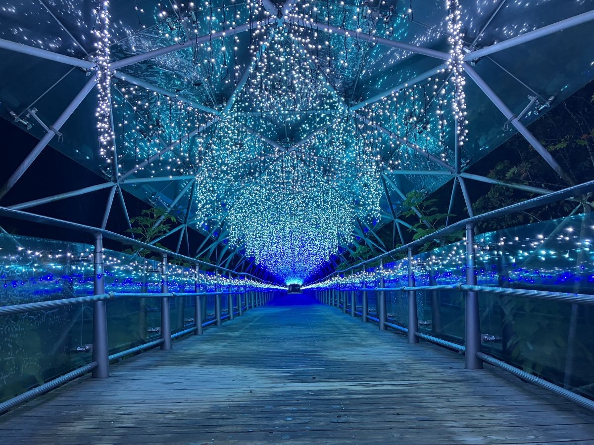 鳥取県南部町『とっとり花回廊』のイルミネーションの様子