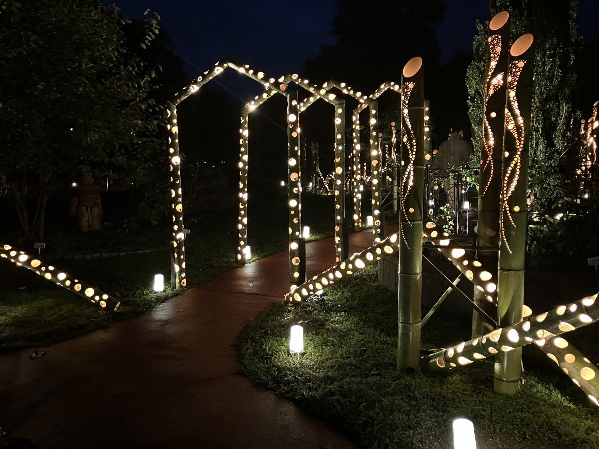 鳥取県南部町『とっとり花回廊』のイルミネーションの様子