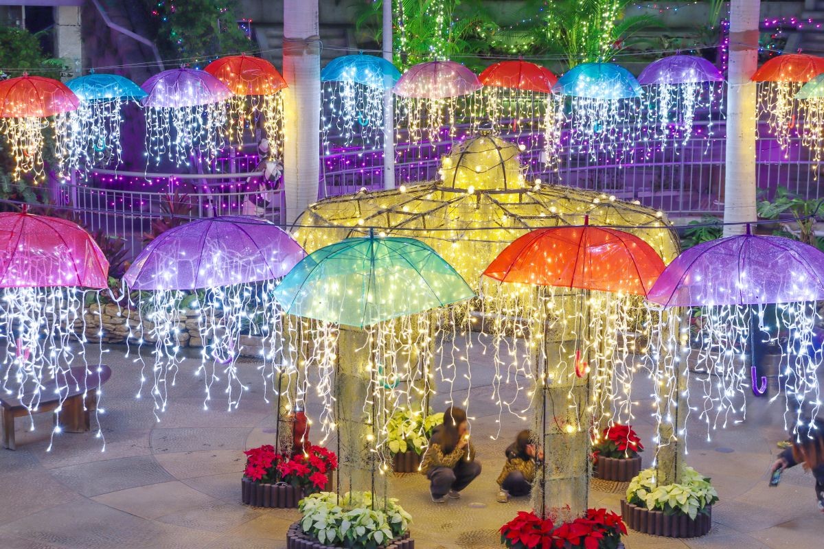 鳥取県南部町『とっとり花回廊』のイルミネーションの様子