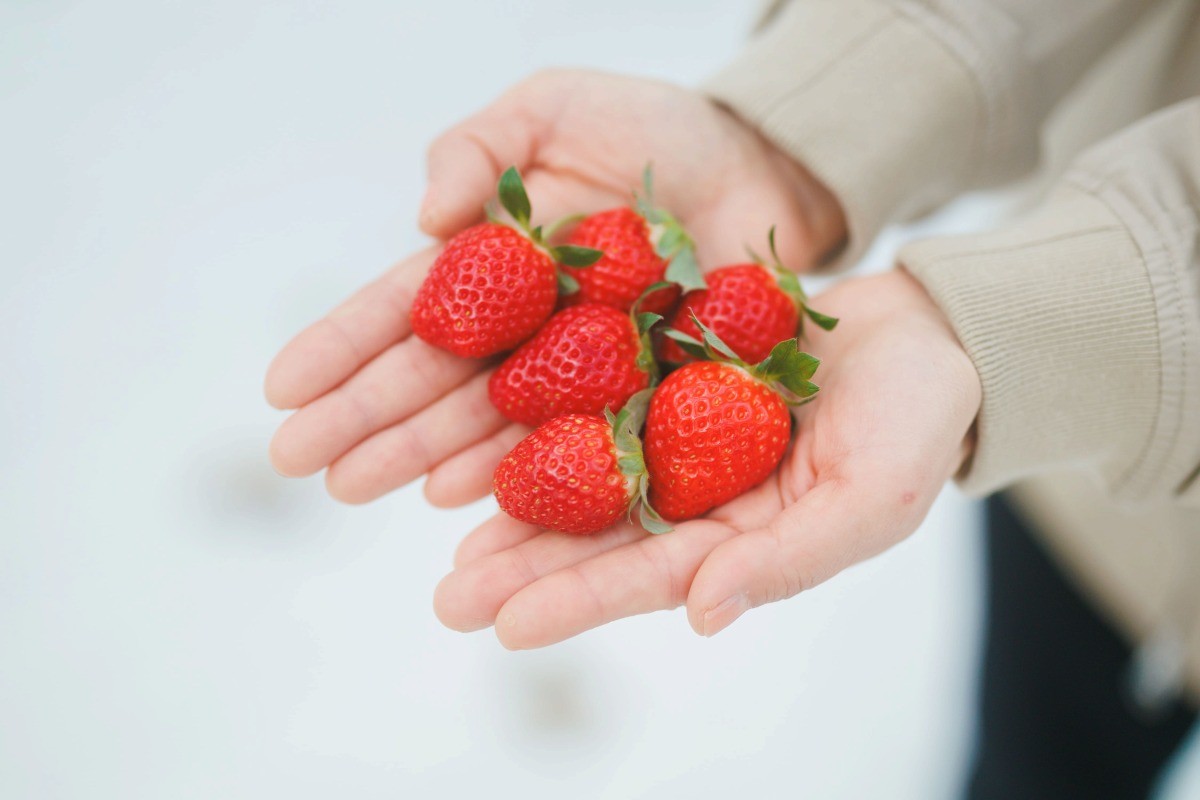 いちごのアップ