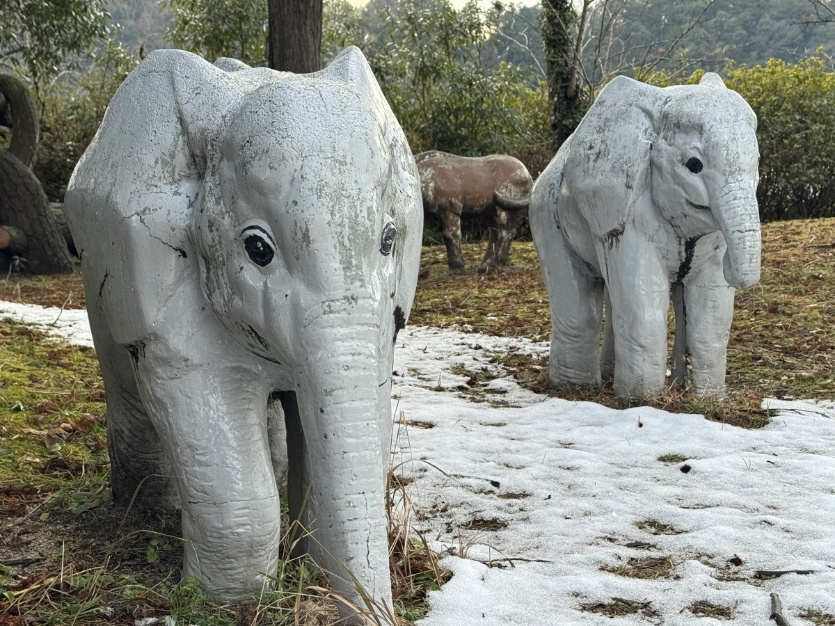 島根県雲南市大東町の『大東公園』にあるゾウの遊具