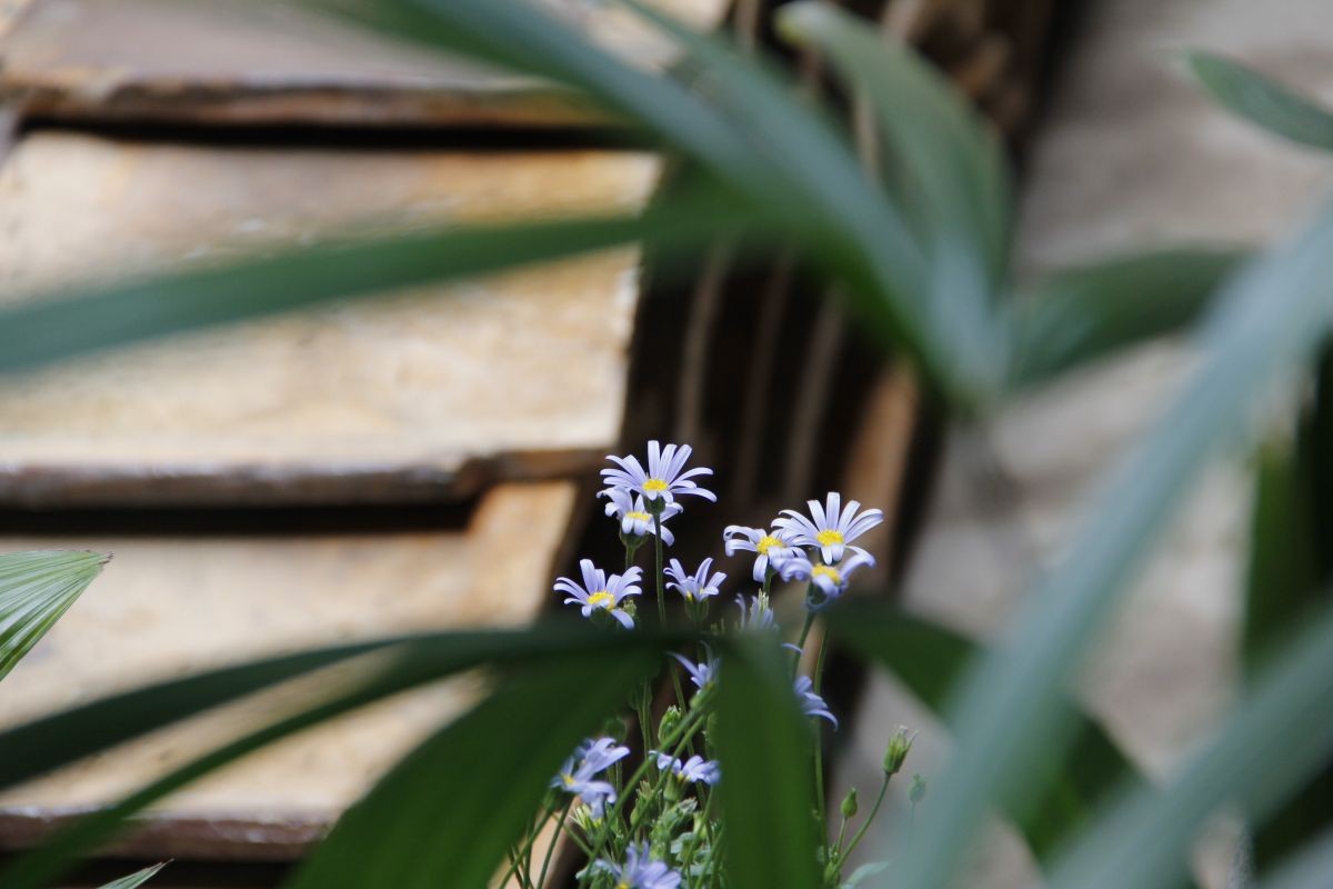 都野津まち皆アートの展示作品