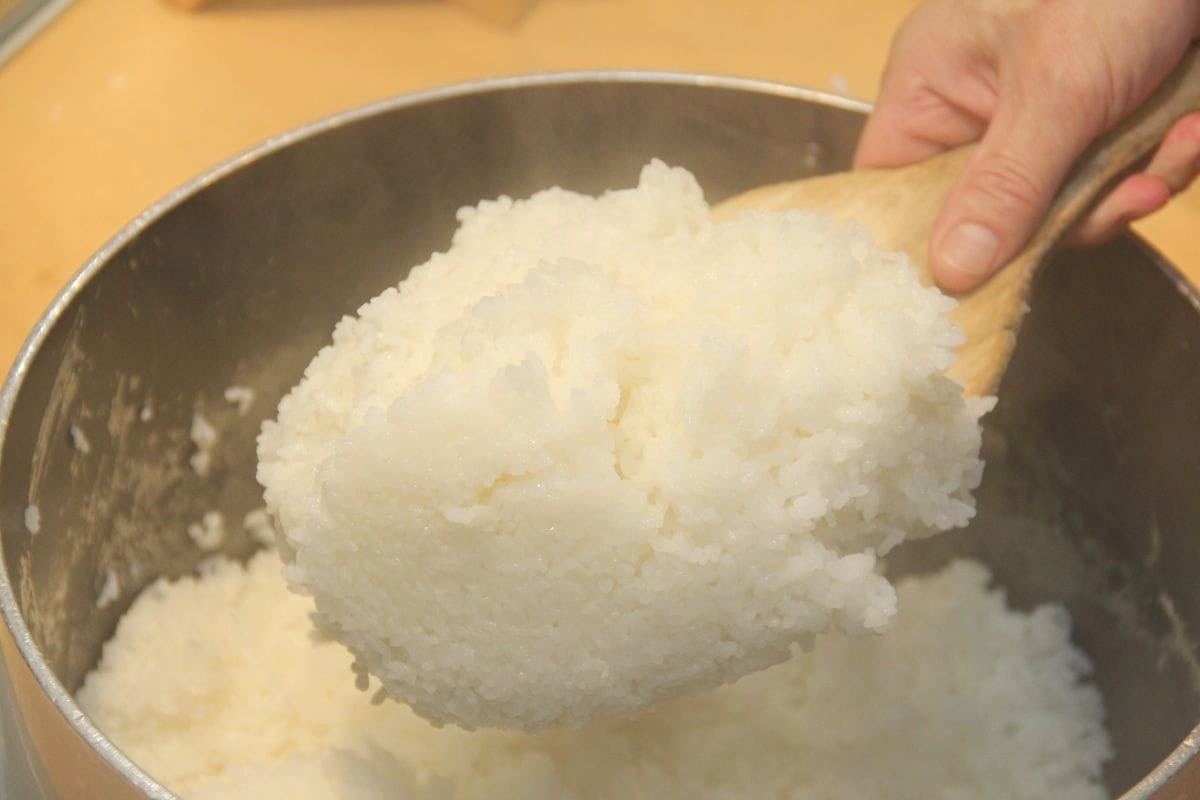 島根県奥出雲町のランチスポット『仁多米食堂』で食べられる炊き立ての仁多米