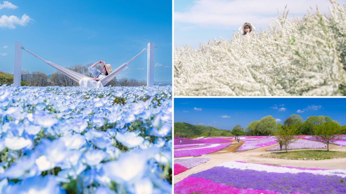 広島県世羅町のフラワースポット『Flower village 花夢の里』の春から初夏の景色