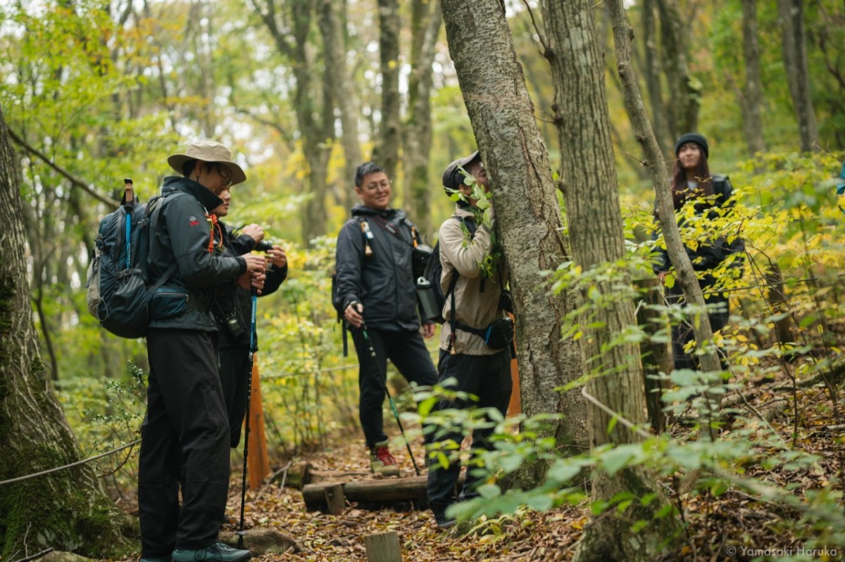 大田市・三瓶山で楽しむ体験ツアー「三瓶山・早朝リフトトレック～空飛ぶ至福ランチ～」の体験イメージ
