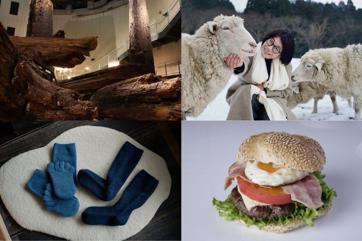 大田市・三瓶山で開かれる「縄文の森 発 大人のプレミアムトリップ」の体験内容