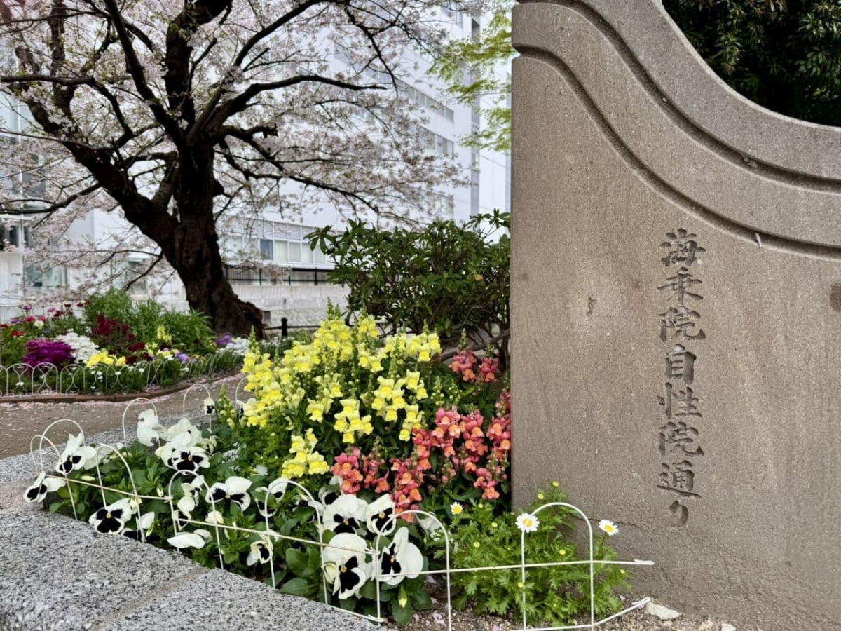 松江市米子町の公園『城東都市緑地』の園内