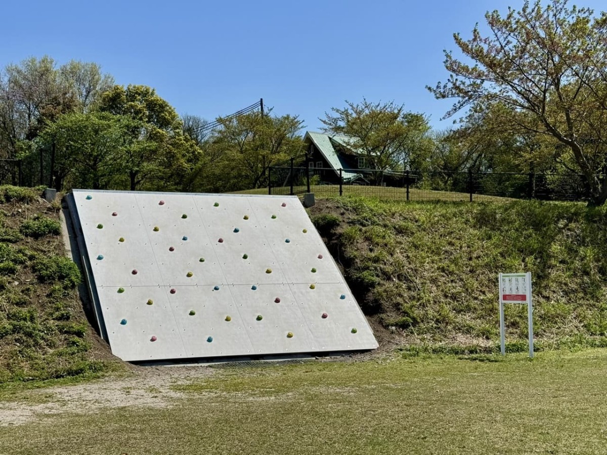 鳥取県伯耆町の遊び場『伯耆町総合スポーツ公園』の遊具