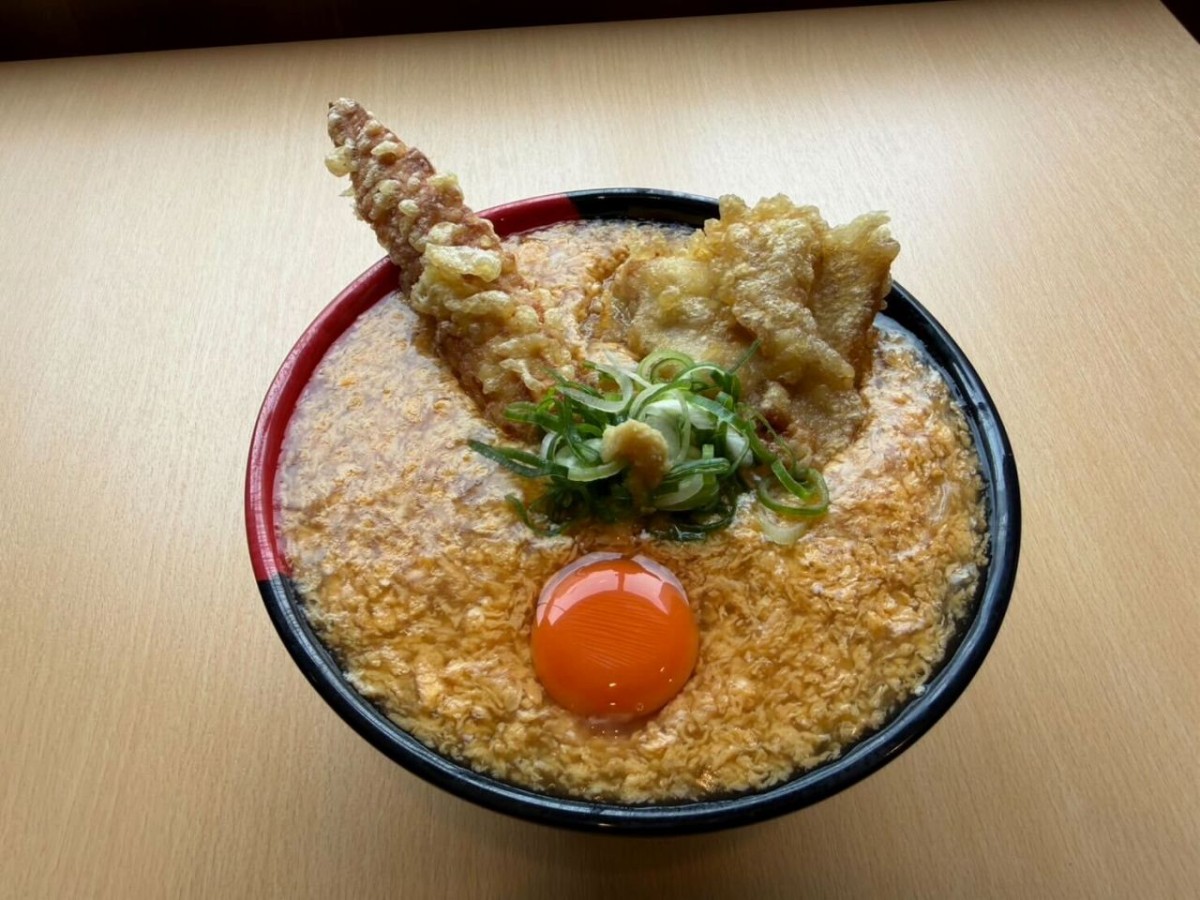 鶏竹天鶏卵カレーどん