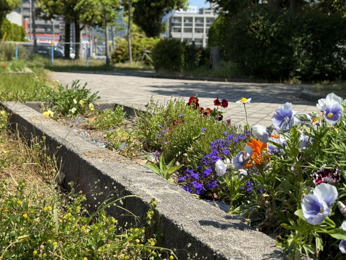 松江市学園にある『川口児童公園』の花壇